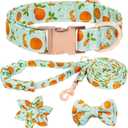 Dog Collar and Leash Set Girls Adjustable Puppy Collars with Fruit Bow Tie for Small Medium Large Female Dogs, Green Orange, L