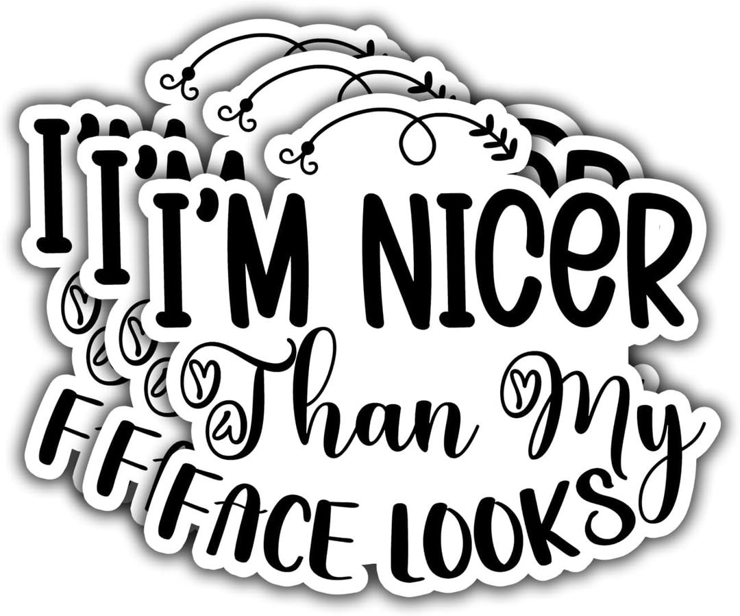 6 x (3PCS) I'm Nicer Than My face Looks Sticker. Funny Inspired, Inspirational Motivational Gifts, Waterproof Vinyl Decal for Water Bottles, Laptops, Phones, Tumblers, Size 2,8 x 3 Inch