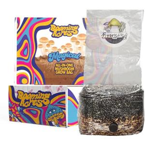 | The Micro Magical 3lb All in One Mushroom Grow Bag | Mushroom Grow Kit | Harvest Your own Happiness | Discover The Magic of Growing Mushrooms - 3lb Grow Bag Mushroom Starter Kit, Best Before: 7/12/2025
