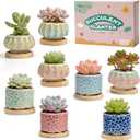 8 Pcs Succulent Pots with Ice Crack Glaze, 2 Shapes & 8 Colors Ceramic Succulent Planters with Drainage Holes & Bamboo Saucers, Indoor Plant Pots for Home GardenDesk Decor, Office Decor, Gift Idea