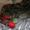 Jefuzh 50 PCS Fake Red Roses, Artificial Red Flowers Bulk Realistic Silk Faux Rose with Stems for Wedding Decoration Anniversary Bridal Bouquet DIY Floral Arrangement Romantic Home Decor Gifts