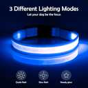 Vizpet LED Dog Collar, Light Up Dog Collar Adjustable USB Rechargeable Super Bright Safety Light Glowing Collars for Dog (Large,Blue)