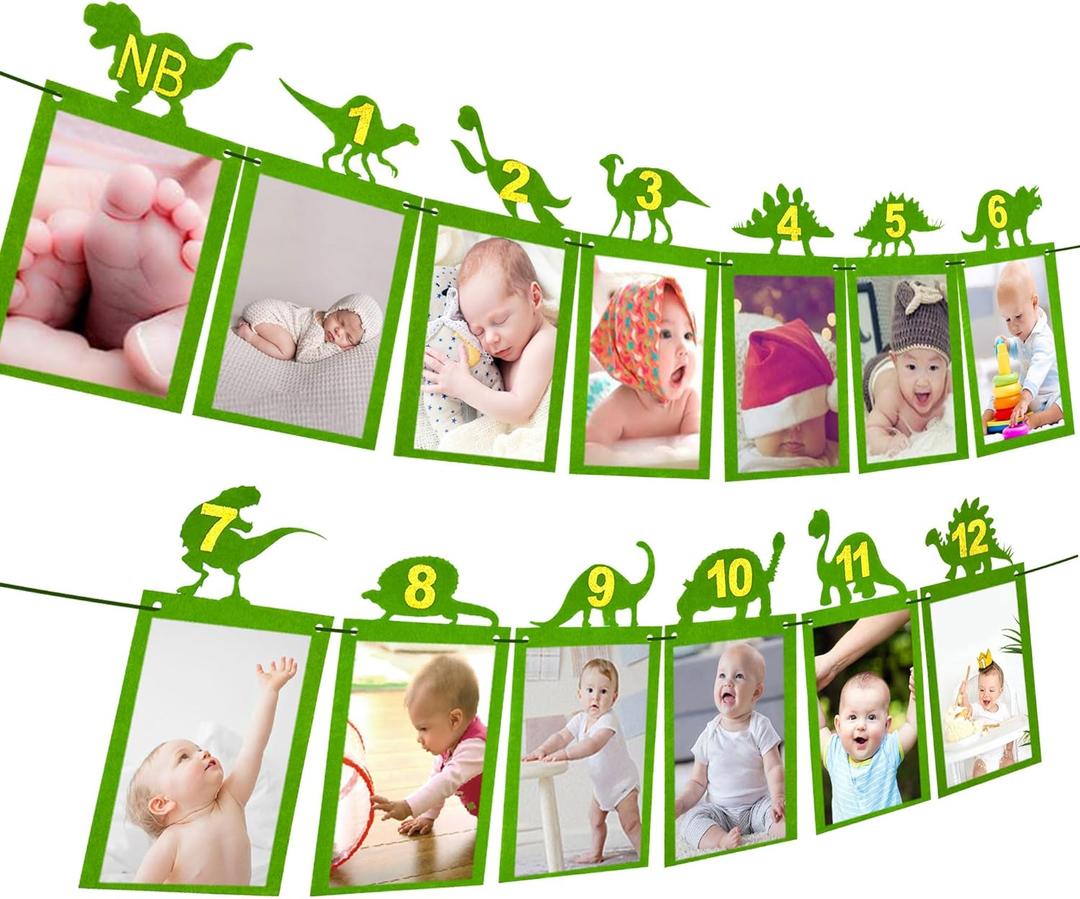 LaVenty Dinosaur Monthly Photo Banner Dinosaur 12 Month Banner First Birthday Party Decoration
