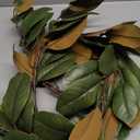 Hairui Lighted Magnolia Garland Timer 6FT 80 LED Fairy Lights Battery Operated or USB Plug in, Artificial Greenery Vine with Lights for Spring Christmas Holiday Fireplace Decor