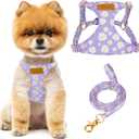 Lukovee Puppy Harness and Leash Set, No Pull Lightweight Soft Suede Adjustable Pet Harness Vest with Snap Buckle for Puppy Small and Medium Size Dog (Purple-XS)