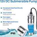 ECO-WORTHY 12V DC Submersible Deep Well Pump, MAX Flow 3.2GPM, Max Head 230ft, Water Pump Powered by Solar or Battery for Well, Livestock Drinking or Tank Filling…