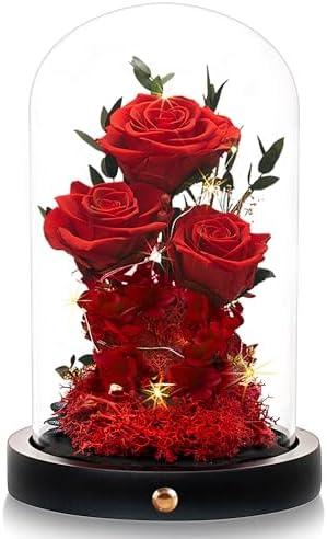 DENIMOMO Valentines Day Flowers Roses Gifts for Women Her,Forever Preserved Rose in Glass Dome, Valentines Anniversary Birthday Real Roses Gifts for Wife Women Girlfriend Best Friend/Red