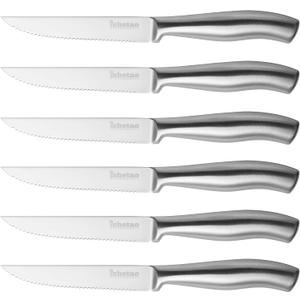 Steak Knife Set of 6, 4.5 inches Dishwasher Safe High Carbon Stainless Steel Knives, Silver