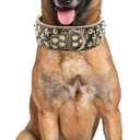 Serijoars 2" Width Leather Dog Collar, Spiked Studded Heavy Duty Adjustable for Medium Large Dogs (M, Black1)