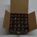 Hometown Evolution, Inc. Box of 25 G50 Clear 2 Inch 7 Watt C7 (E12) 3/8" Base Replacement Bulbs