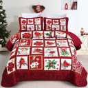 Christmas Quilt Set Queen Size 3 Pieces Christmas Patchwork Floral Wreaths Cardinals Red Berries Holiday Bedding Sets Red Vanilla Grid Coverlet Bedspread Coverlet with 2 Pillowcases for All Season