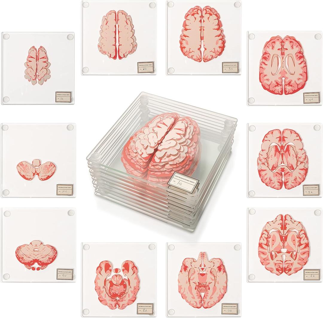 ThinkGeek Anatomic Brain Specimen Coasters Set of 10 for Neuroscience Medical Student Gifts Human Anatomy Generix Geek