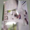 Westie Calendar 2026 West Highland Terrier Gifts Westies Monthly Wall Calender 12 Month | American Made In The USA