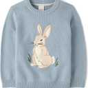 Gymboree Boys' and Toddler Embroidered Pullover Sweater (5T, Dusty Robin Bunny)