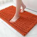 FLOLEOPA Soft Plush Microfiber Bathroom Rugs, Absorbent Bath Rugs Non Skid Machine Wash Dry Bath Mats for Tub, Shower and Bath Room Floor Mats (Burnt Orange, 20x32 inches)