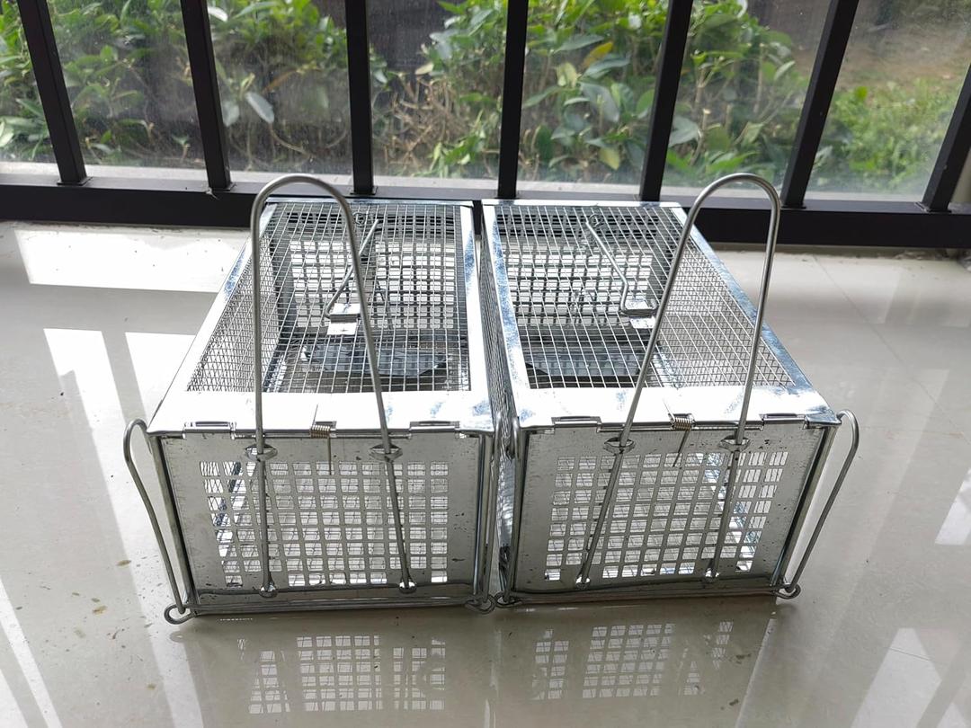 HUIYGC Rat Trap, Chipmunk Rodent Trap Working for Indoor and Outdoor to Catch Small Animal - Mouse Voles Hamsters Humane Cage Trap-O (2 PCS)
