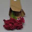 IPOPU Daisies Flowers Artificial,20PCS Gerbera Daisy Artificial Flowers Fake Daisies for Wedding Party Office Home Decorations(Rose Red)