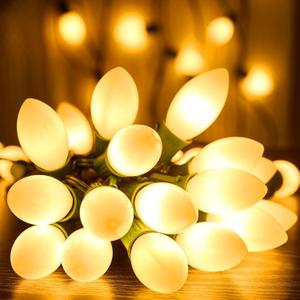 C9 LED Multicolor Christmas Lights Outdoor, 25Ft C9 Vintage Christmas Lights Waterproof with 26 LED Colorful Bulbs, Outdoor Christmas Decorations String Lights for Patio Garden Roofline Holiday Party