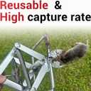Mole Trap Scissor 2 Pack, Upgraded Mole Traps for Lawns that Kill Best, Galvanized Steel Mole Killer, Easy Step Setup