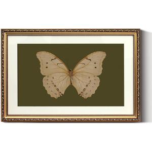 ARPEOTCY Vintage Gold Framed Large Wall Art, Classical White Butterfly Paintings, Dark Moody Green Canvas Prints Artwork with Antique Frame, Victorian Wall Decor for Gallery Living Room 16x24 inch