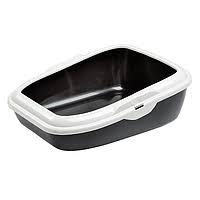 Cat Litter