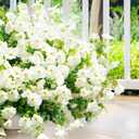 Artificial Fake Flowers For Outdoor Outside Decoration,16 Bundles UV Resistant Faux Plastic White Flowers with Green Eucalyptus Stem Plants Bulk Look Real for Home Porch yard Patio Planters (White)