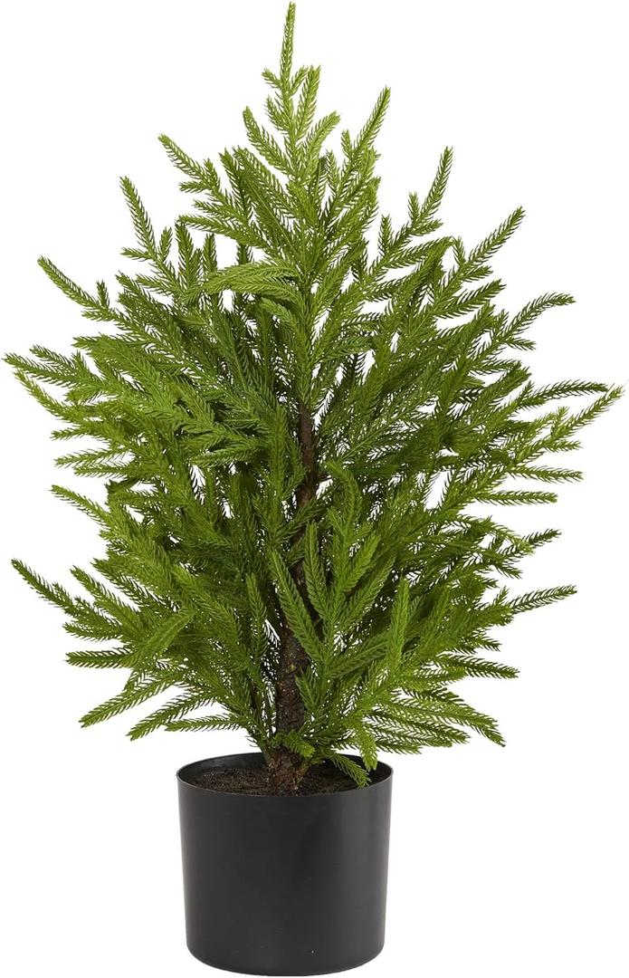 Nearly Natural 2ft. Norfolk Island Pine Natural Look Artificial Tree in Decorative Planter (Green)