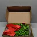 Canlierr 6 Pcs 8 Inch Christmas Kitchen Cabinet Wreaths with 31.5inch Ribbon Small Mini Christmas Wreath for Window Door Chair Wall Xmas Decoration(Fresh)