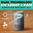 STEM Flying Insect Fan Trap for Indoor Bug Control, Attracts Mosquitoes, Fruit Flies, and House Flies, Plug-in Fan with UV Light, Starter Kit Includes 1 Device and 5 Glue Traps