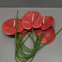 8 Pcs 23-5/8 inch Artificial Anthurium Flowers Real Touch Fake Flower for Table Centerpieces Arrangement and Bridal Wedding Festival Decor Flower Arrangement (Dark Pink)