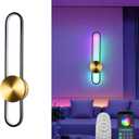 JAYMP RGB Modern Wall Sconce Dimmable Remote Control LED Wall Light Fixture, Hardwired Wall Lamp for Living Room, Dining Room, Bedroom, Hallway, Entryway, 1 Pack (Brushed Black,RGB, H56cm/22inch)
