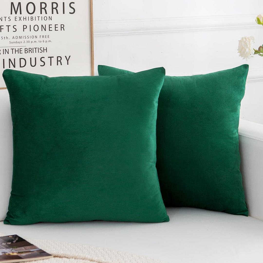 Velvet Decorative Throw Pillow Covers, Soft Square Cushion Case Home Decor for Living Room Couch Bed Sofa, Set of 2 Pack, Green, 20x20 Inch