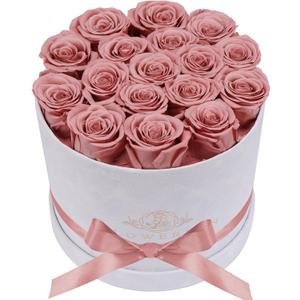 Prifroti 17 Flowers in a Luxury Suede Box, Birthday Gifts for Women, Preserved Flowers, Mothers Day Roses Gift for Mom, Dusty Rose