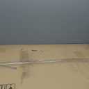 Amazon Basics Portable Metal Wire Dog Crate with Removable Tray, Single Door with Divider Panel, Foldable, Collapsible, Easy to Assemble & Clean, 36" x 23" x 25", Black