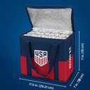 Insulated Cooler Bag USA