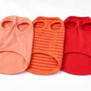3 Pack Dog Sweater Walking Park Trips, Size L