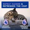 DOUXO® Skin & Coat SPA - Ultra-Safe Low-Stress Refresh Leave-on Mousse for Cats, 10 fl oz, Leaves The Coat Clean, Refreshed, Soft, Radiant and Smelling Great, Skin-Friendly Formula