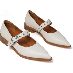 Mary Jane Shoes Women Chunky Low Heels Buckle Strap Pumps Womens Closed Pointed Toe Ballet Flats Causal Daily Dress Shoes