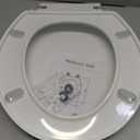 Round Toilet Seat, Standard 16.5 Slow/Soft Close Round Toilet Seat for Round Toilets, No-Slam Quiet-Close Lid, Easy-to-Install, White, Durable Never-Loosen Design