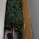 Hananona 2 Pcs 4 Ft Artificial Topiary Cedar Trees, Outdoor Faux Pine Shrubs, Realistic Fake Greenery Plants UV Resistant Cypress Trees for Christmas Porch Front Door Decor (2, Green, 4 Ft)