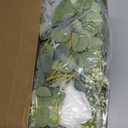 PARTY JOY 6.56ft Eucalyptus Garland with Flowers-8 White Roses, Artificial Fake Flowers Greenery Garland Floral Vines for Decoration Party Wedding Table Indoor Outdoor Backdrop Wall Decor(White) (1PC)