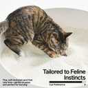 pidan Cassava Cat Litter clumping,Odor Control,Plant-Based Natural Ingredients,Ultra Absorbent and Fast Drying,No Dust,Unscented (5.3lb2bags)