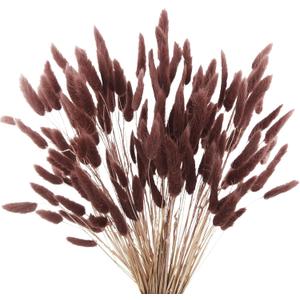 120pcs Dark Brown Bunny Tails Dried Flowers, 17" Ancora Red Brown Flowers Bulk Pampas Grass Bunny Tail Grass Rabbit Tail Grass Dried Floral Arrangements Dark Grass for Fall Home Decor Boho Wedding
