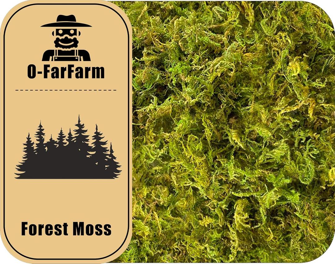 2 x Dried Forest Moss for Plants 5.3oz / 3qt, Green Orchid Sphagnum Moss, Long Fibered Dried Moss for Succulents Garden Flowers Pot and Reptiles
