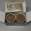 HOME GROWN Succulent & Cactus Seed Kit for Planting  [Enthusiasts Favorites] Premium Cactus & Succulent Starter Kit: 4 Planters, Drip Trays, Markers, Seeds Mix, Soil - DIY Gift Kits