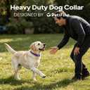 PetiFine Heavy Duty Dog Collar with Durable Metal Buckle,Neoprene Padded Comfort Dog Collar, Reflective Adjustable Belt Buckle Dog Collars for Small Medium Large Dogs(19''-23'', Purple)