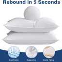 Goose Feather Pillows Standard Size Set of 2, Ultra Soft 700 TC Organic Cotton Shell, 900 FP Down Pillow for Sleep, Luxury Hotel Collection Bed Pillows 2 Pack for Side Back Stomach Sleepers, 18"x26"