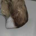 Maycaur Ash Blonde Lace Front Wigs Short Wavy Women's Costume Wigs Brown Roots Synthetic Loose Wave Frontal Lace Wigs 14 Inch