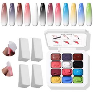 Sponge Pat Gel Nail Polish Palette, 12 Colors Blending Ombre Gel Polish Gradient Painting Nails Art, No Wipe, UV/LED Cured (12 Colors D)