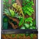 Reptile Terrarium 10"x10"x14", Full Glass Tank Enclosure for Small Reptiles, Geckos, Frogs, Lizards, Snakes, Spiders, Turtles, Vertical Rainforest Habitat